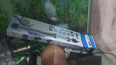 akvariumlar: Dördbucaq akvarium, Boş, 135 l, Ünvandan götürmə — 6