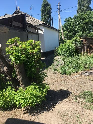 Продажа коттеджей и домов: Продаётся 5 комнатный дом, плюс времянка с баней двор . Г Кара-Балта at lalafo.kg — 12 Продажа коттеджей и домов: Продаётся 5 комнатный дом, плюс времянка с баней двор . Г Кара-Балта — 12