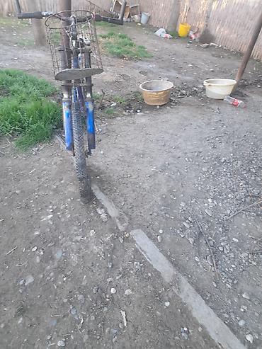 SİM-kartlar: Nömrə: ( 051 ) ( 9178236 ) — 30