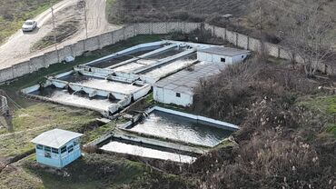 Torpaq sahələrinin satışı: 300 sot, Kənd təsərrüfatı, Mülkiyyətçi, Texniki pasport, Kupça (Çıxarış) — 7