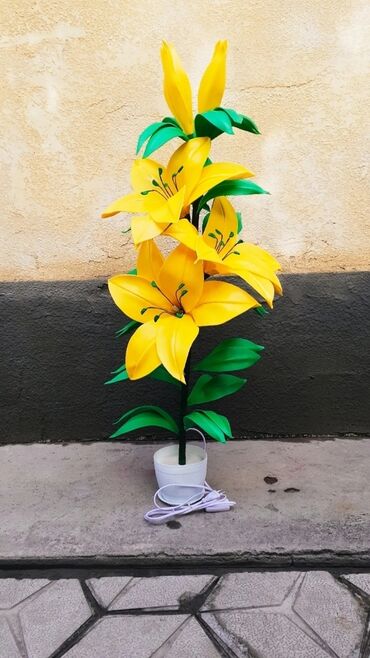 Другие услуги: Другие услуги — 12