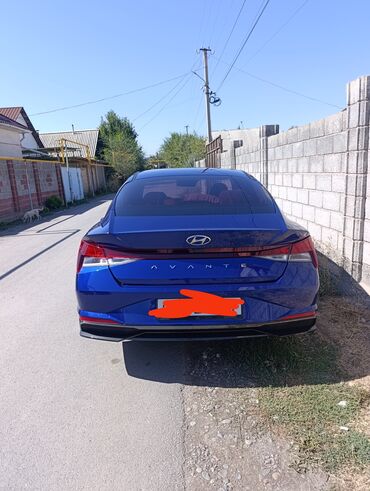 авто лопата: Hyundai Avante: 2021 г., 1.6 л, Автомат, Бензин, Кроссовер