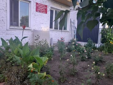 цокольное помещение аренда: 2 бөлмө, 40 кв. м, Хрущевка, 1 кабат