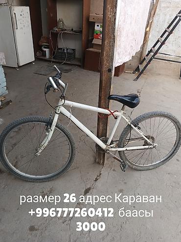 айнек рамка: Тоо велосипеддери — 3