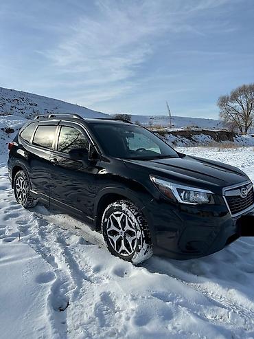 Subaru: Subaru Forester: 2019 г., 2.5 л, Вариатор, Бензин, Кроссовер — 6