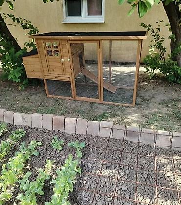 ormani za terase: Drvena kućica/kavez za živinu sa ispustom - Materijal: kvalitetno — 10