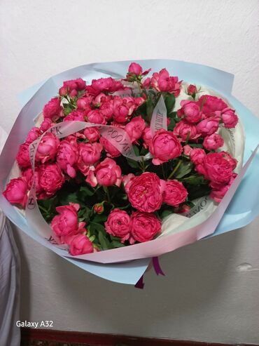 цветы оптом розы: Пионы цена 6500
свежие, оплата наличкой, самовывоз