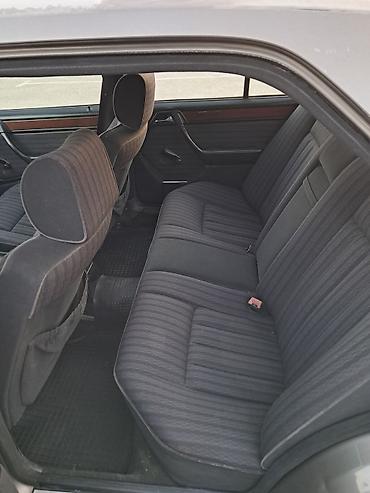 дерево на мерс 124: Mercedes-Benz W124: 1990 г., 2.3 л, Механика, Бензин, Седан — 6