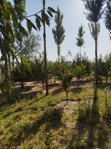 Продажа домов: Дом, 96 м², 5 комнат, Собственник — 9