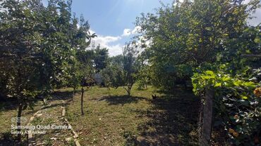 Həyət evləri və villaların satışı: 6 otaqlı, 150 kv. m, Orta təmir — 43