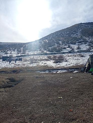 Продажа коттеджей и домов: Дача сатылат село сары жон жакта суу палив суу жер 5 сот и 4сот — 2