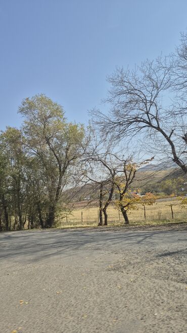 рабочий городок дом участок: 5 соток, Для строительства, Красная книга, Договор купли-продажи