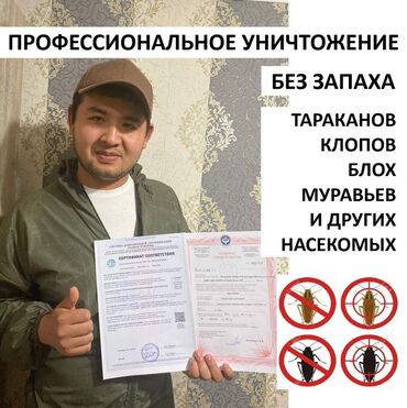 кредит онлайн на карту без отказа срочно 247 кыргызстан: Дезинфекция, дезинсекция, | Тараканы, | Офисы, Квартиры, Дома