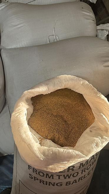 арпа тук: Ячменный солод (в мешках) - Тип: солод из ячменя (spring barley) — 1