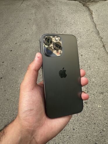 держатель телефона на стедикам fly tech 6: IPhone 13 Pro, 256 ГБ, Graphite