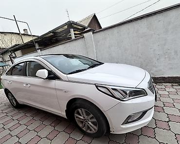 Hyundai: Hyundai Sonata: 2019 г., 2 л, Газ — 4