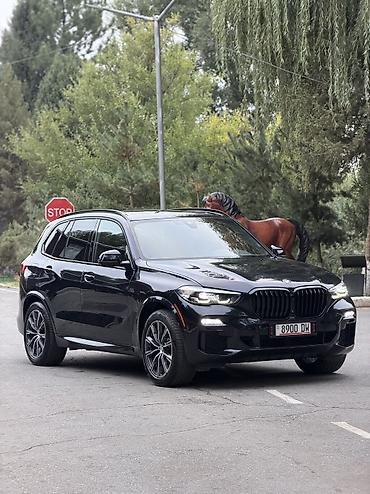 BMW: BMW X5: 2019 г., 3 л, Автомат, Бензин, Кроссовер — 3