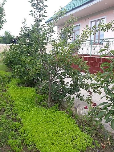 пустые земельные участки: 3 комнаты, 64 м², 16 соток, Манас (Джалал-Абад), Собственник — 4
