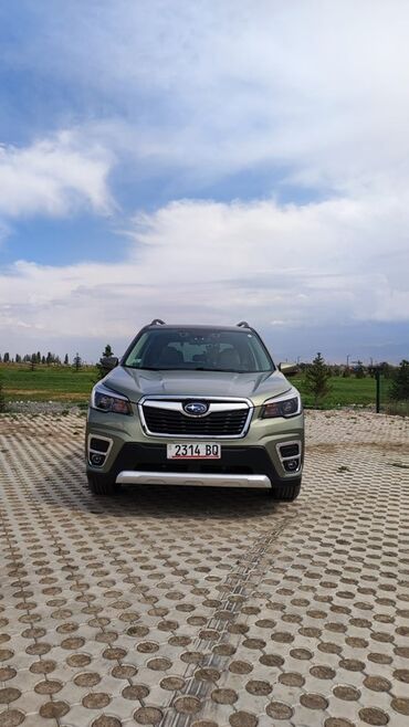 машина купить недорого: Subaru Forester: 2023 г., 2.6 л, Автомат, Бензин, Кроссовер
