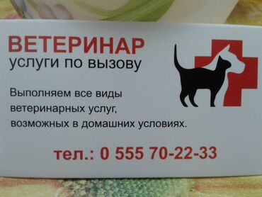 ������������������������ ������������������������ в Кыргызстан | УСЛУГИ ВЕТЕРИНАРА: Ветеринар на выезд - оказание профессиональных и качественных
