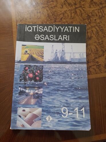 subhan musayev informatika kitabi pdf: Kitab satiram(Iqtisadiyyatin esaslari)