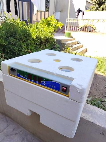 JC Expert Mini Egg Incubator. 3 dəfə istifadə edilib tam işlədir