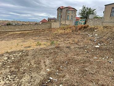 ev algi satgisi sumgayitda: 10 sot, Tikinti, Mülkiyyətçi, Kupça (Çıxarış) — 5