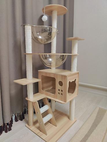 купить брейнротов в укради брейнрот: Игровой комплекс для кошек из дерева с прозрачными лежанками - — 2