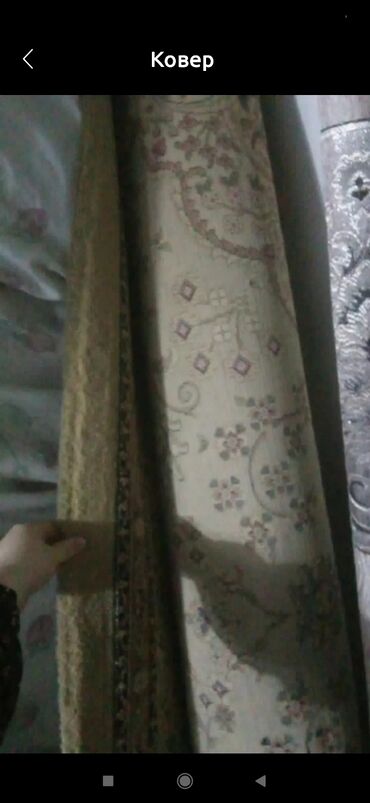 гилем буу: Килем Колдонулган, 300 * 300 lalafo.kg да гилем буу: Килем Колдонулган, 300 * 300