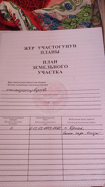 продажа участков бишкек: 300 соток, Для сельского хозяйства, Красная книга — 3