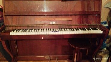 Sintezatorlar: Piano, Suzuki, Akustik, İşlənmiş
