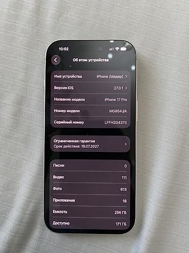 профессиональный свет: IPhone 17 Pro, 256 ГБ, цвет светлый (серебристый/натуральный оттенок) — 4