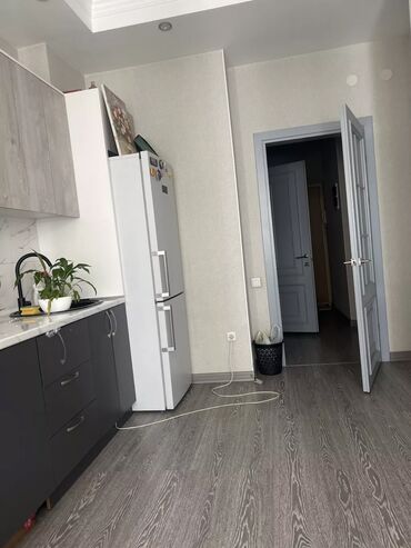 продается орошаемая земля в жайылско районе алтыр будёновка 5 40 гектар цена договорная с довой проблем нету оформление сразу: 40 м², С мебелью