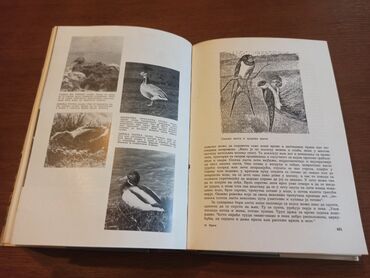 Knjige i stripovi: BREM Kako žive životinje Dobro očuvana knjiga iz 1967g. Izdavač — 11