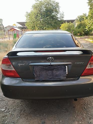 Toyota: Toyota Camry: 2004 г., 2.4 л, Автомат, Бензин, Седан — 9
