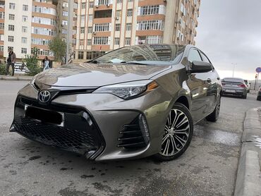 Toyota: Toyota Corolla: 1.8 l | 2018 il Sedan