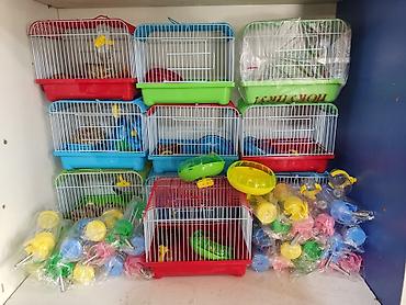 Зоотовары: Клетки для птиц и грызунов! — 21