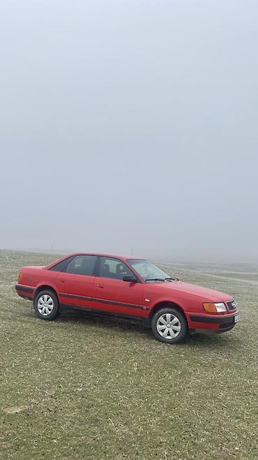 neta ls: Audi 100: 1991 г., Механика, Седан — 3