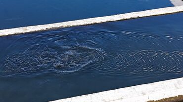 Torpaq sahələrinin satışı: 300 sot, Kənd təsərrüfatı, Mülkiyyətçi, Texniki pasport, Kupça (Çıxarış) — 16