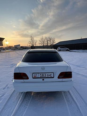 Mercedes-Benz: Mercedes-Benz E-Class: 1996 г., 3 л, Механика, Дизель, Седан — 5