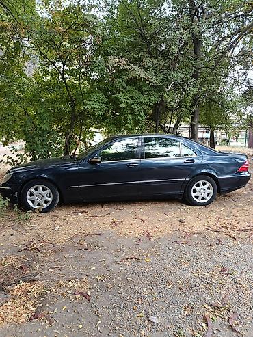 машина 70000: Mercedes-Benz S-Class: 2001 г., 5 л, Автомат, Бензин, Седан — 5