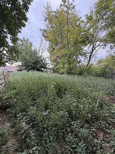 1 bedroom: 📍В Шопокове продается дом расположенный на участке 10 соток Об — 5