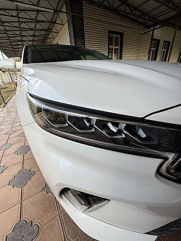 ограничитель парковки: Kia K7: 2019 г., 2.4 л, Автомат, Гибрид, Седан — 8