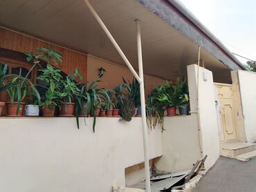 Həyət evləri və villaların satışı: 4 otaqlı, 115 kv. m, Yeni təmirli — 13