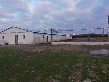 Kommersiya daşınmaz əmlakının satışı: 🔹 Satılır: Ferma – Xudat, Ləcət kəndi 🔹 ✅ Unikal fürsət! Xudat-Yalama — 2