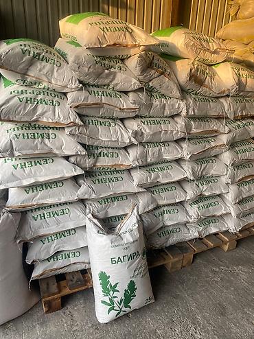 Пшеница: Жугору урук кукуруза 🌽 беде Арпа урук сулуу оптом достовка бар — 12