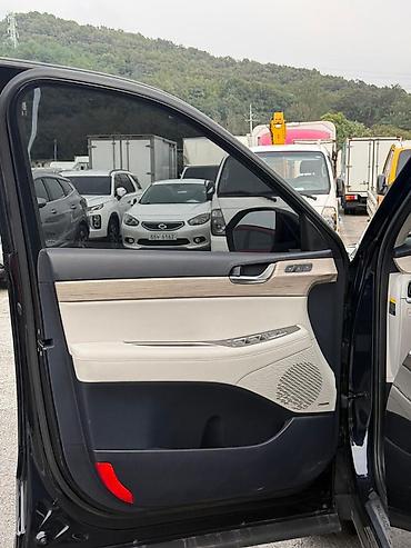 Hyundai: Hyundai Palisade: 2019 г., 2.2 л, Автомат, Дизель, Кроссовер — 28