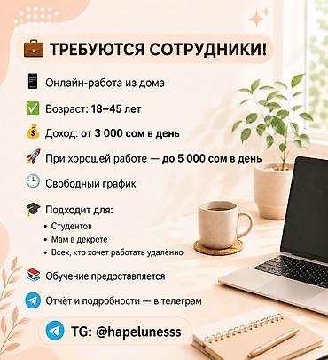 life network system: Онлайн‑работа из дома - Возраст: 18–45 лет - Доход: от 3 000 сом в — 1