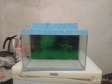 Akvariumlar: Dördbucaq akvarium, Boş, 22 l, Ünvandan götürmə, Ödənişli çatdırılma