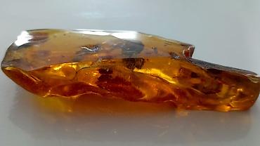 Qiymətli daşlar: Kəhrəba, Pulsuz çatdırılma — 1